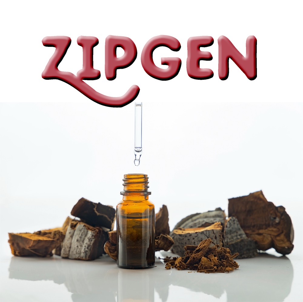 Zipgen-1